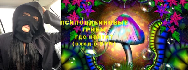 spice Алзамай