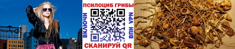 Псилоцибиновые грибы Magic Shrooms  Каневская 